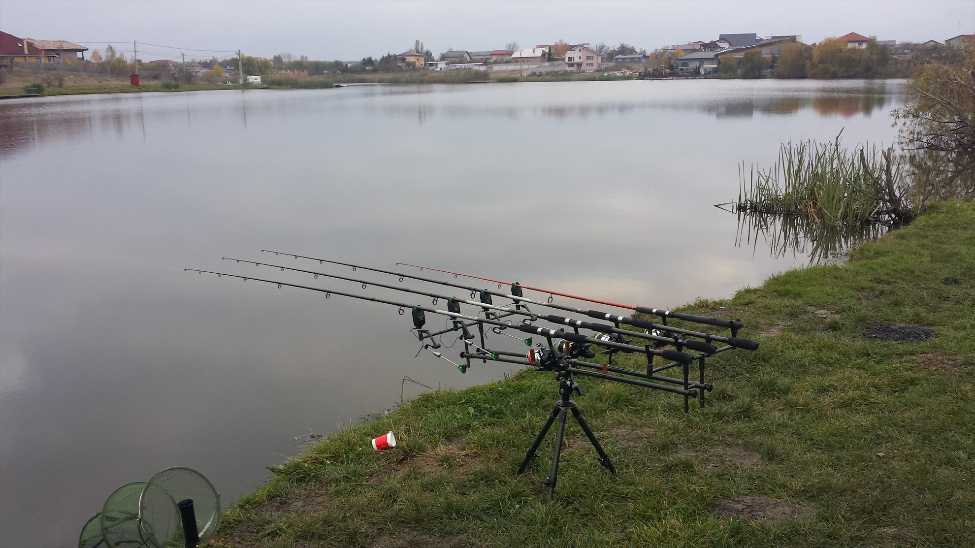  - 20141109160514.jpg