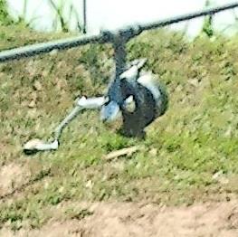  - fotografie1035.jpg