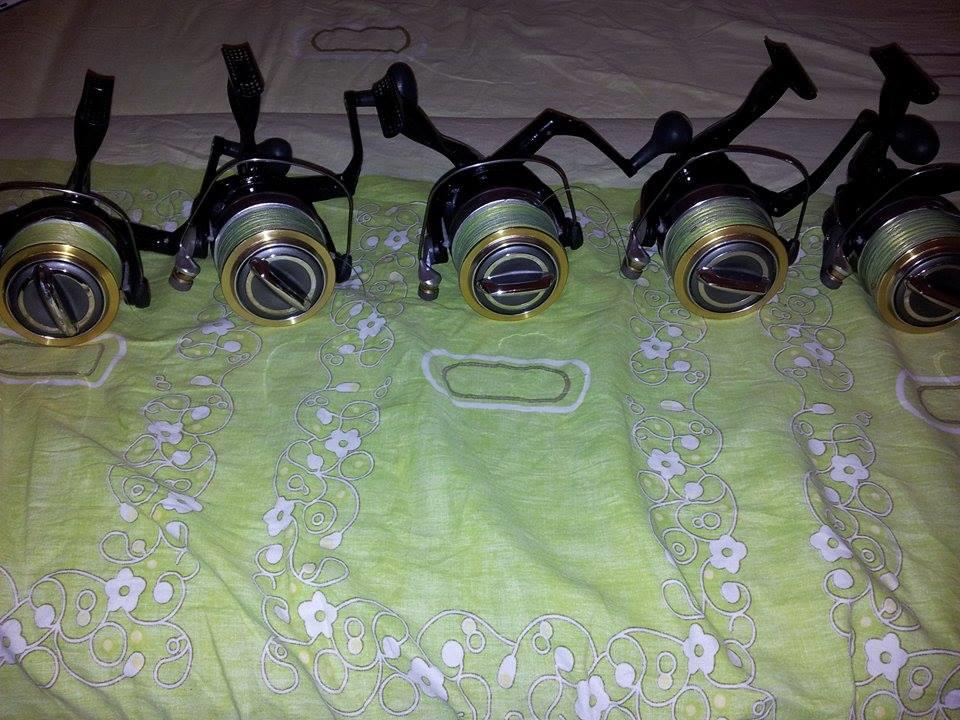  - 10955859788968734472840371538334n.jpg