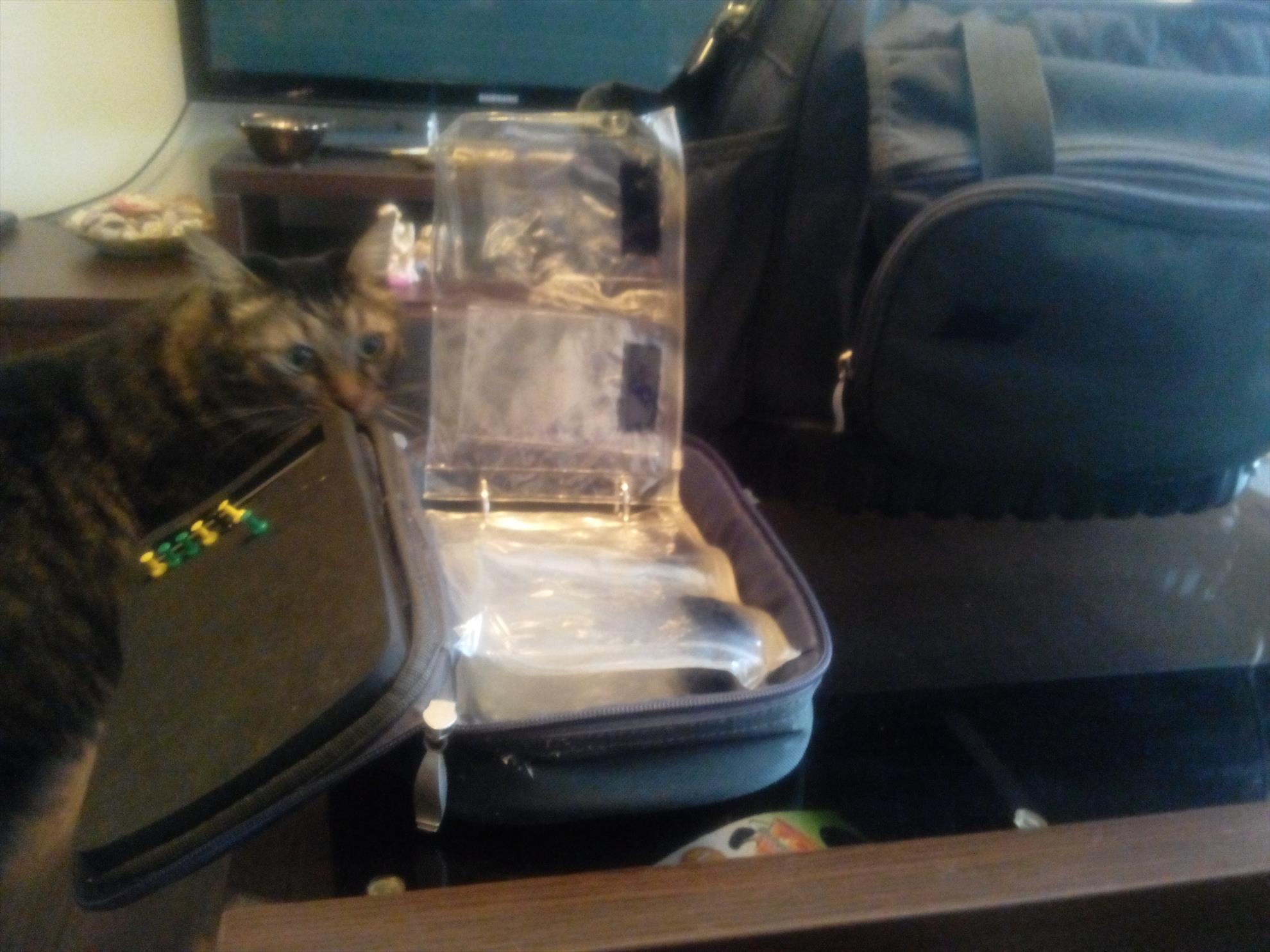  - img20150128100727.jpg