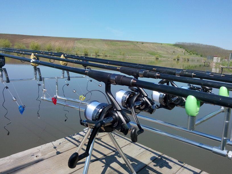  - 1105114915494647120092392108721353n.jpg