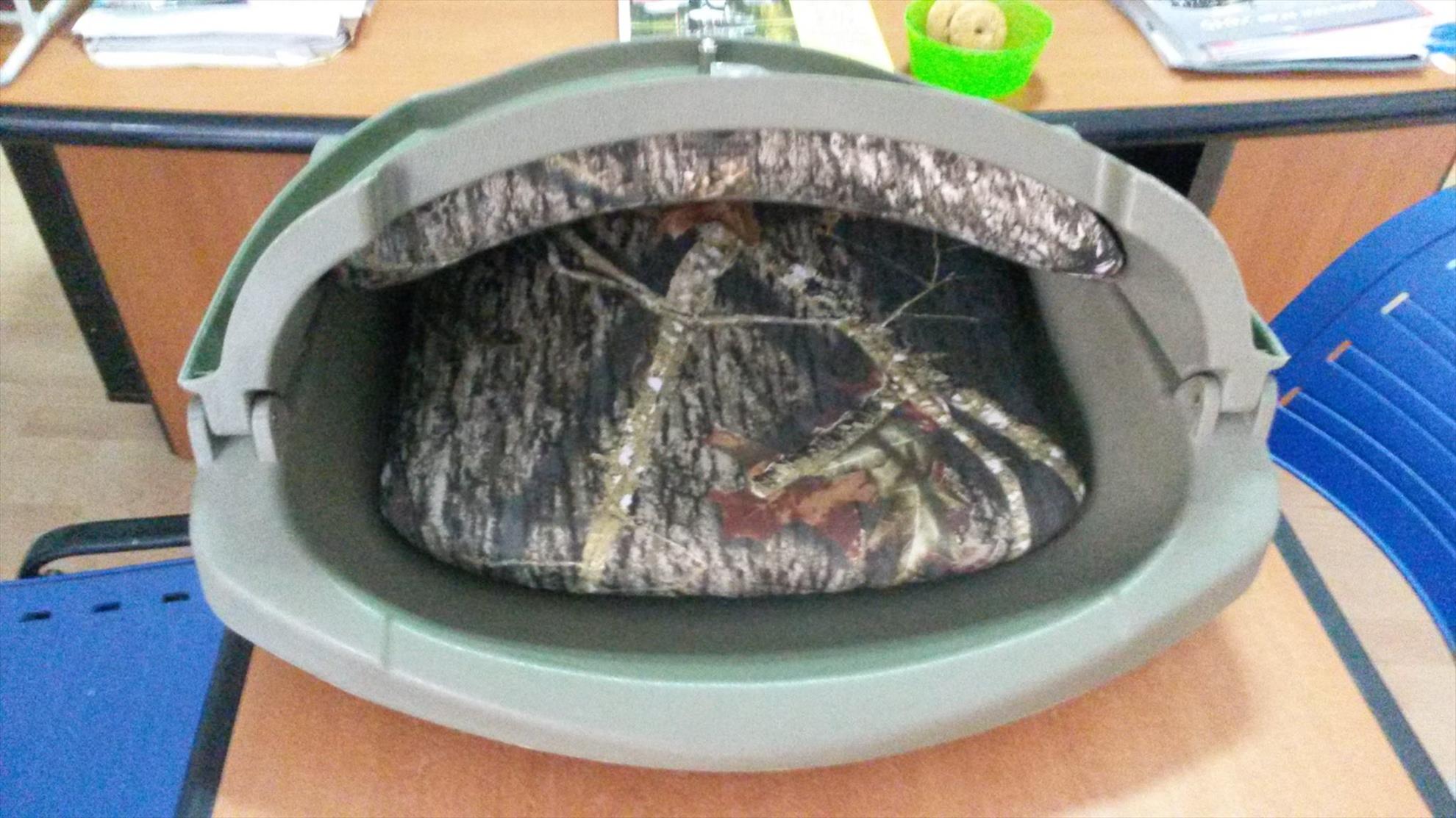  - 1102486810539866146166351387789671o.jpg