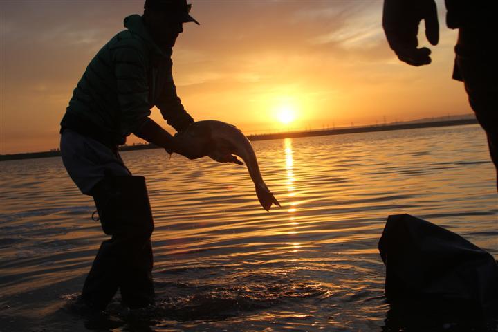 Bunget 1 - bunget-1.JPG