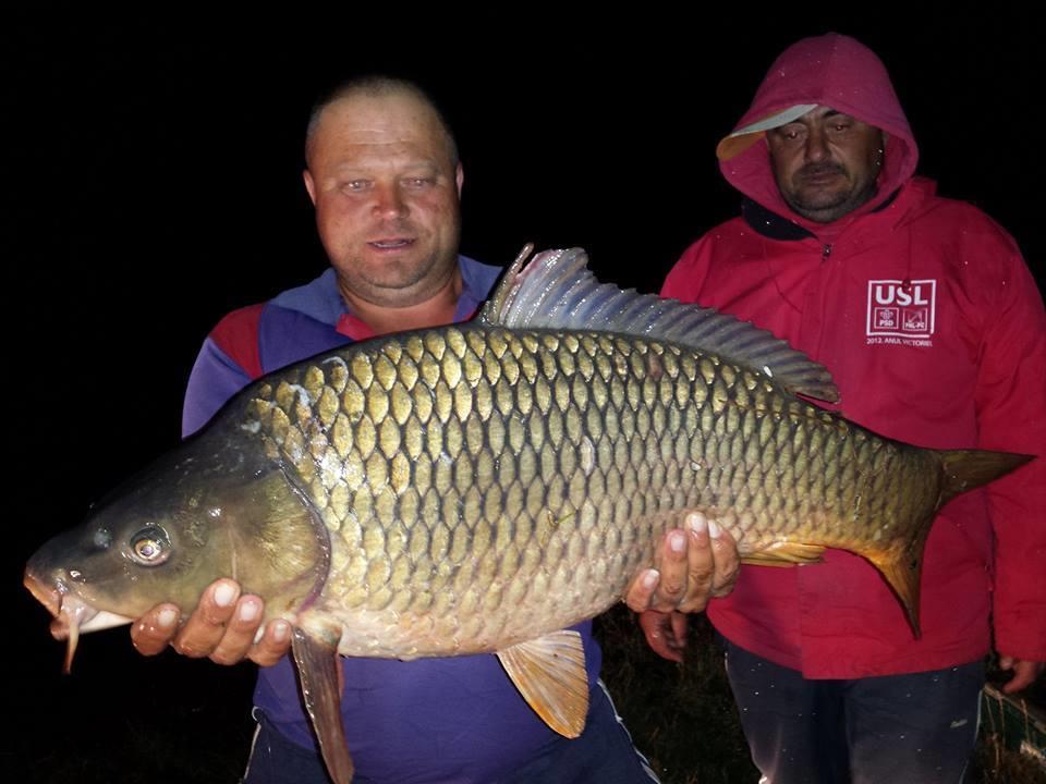 Bunget 1 - bunget-2015.jpg