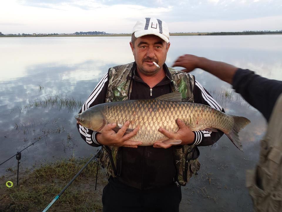 Bunget 1 - bunget.jpg