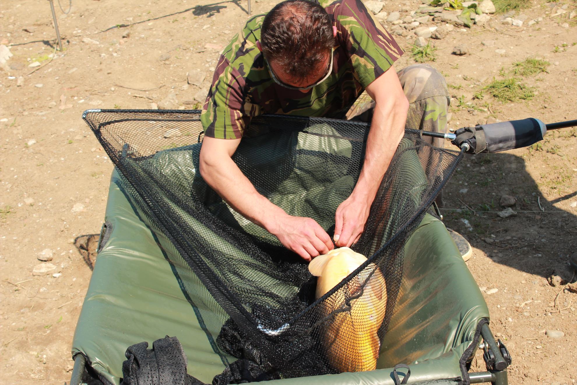 Desfasurarea Competitiei P8 - img8641.JPG