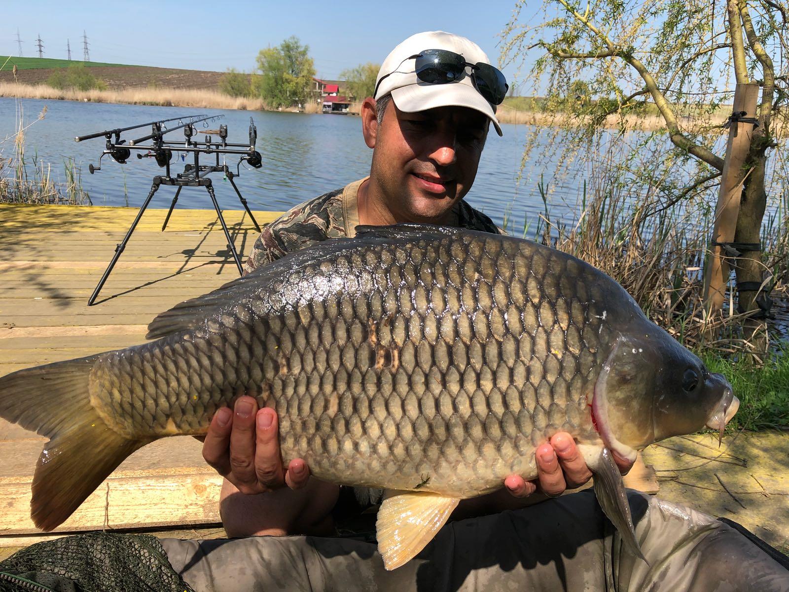 Constantin Medeleanu