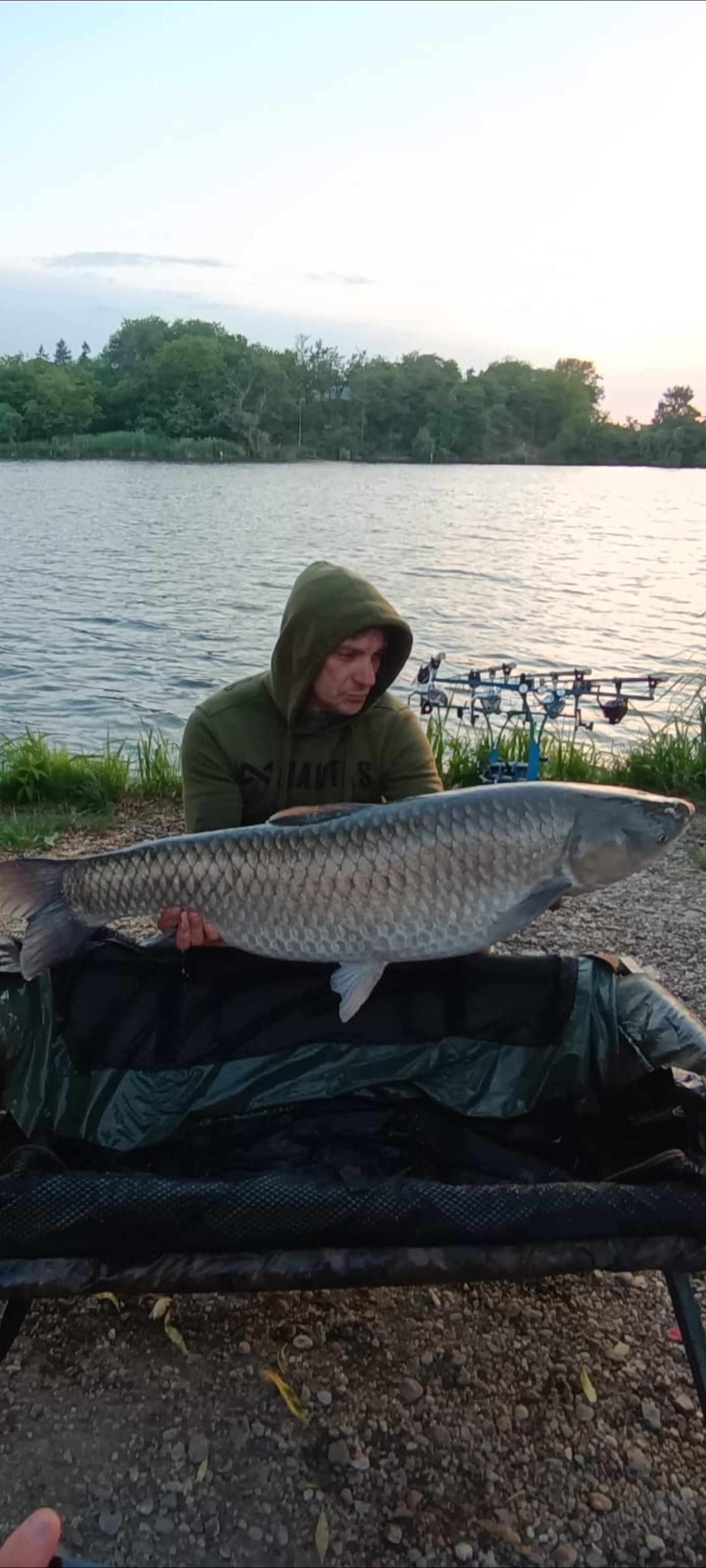 Roberto Mihail Bassula