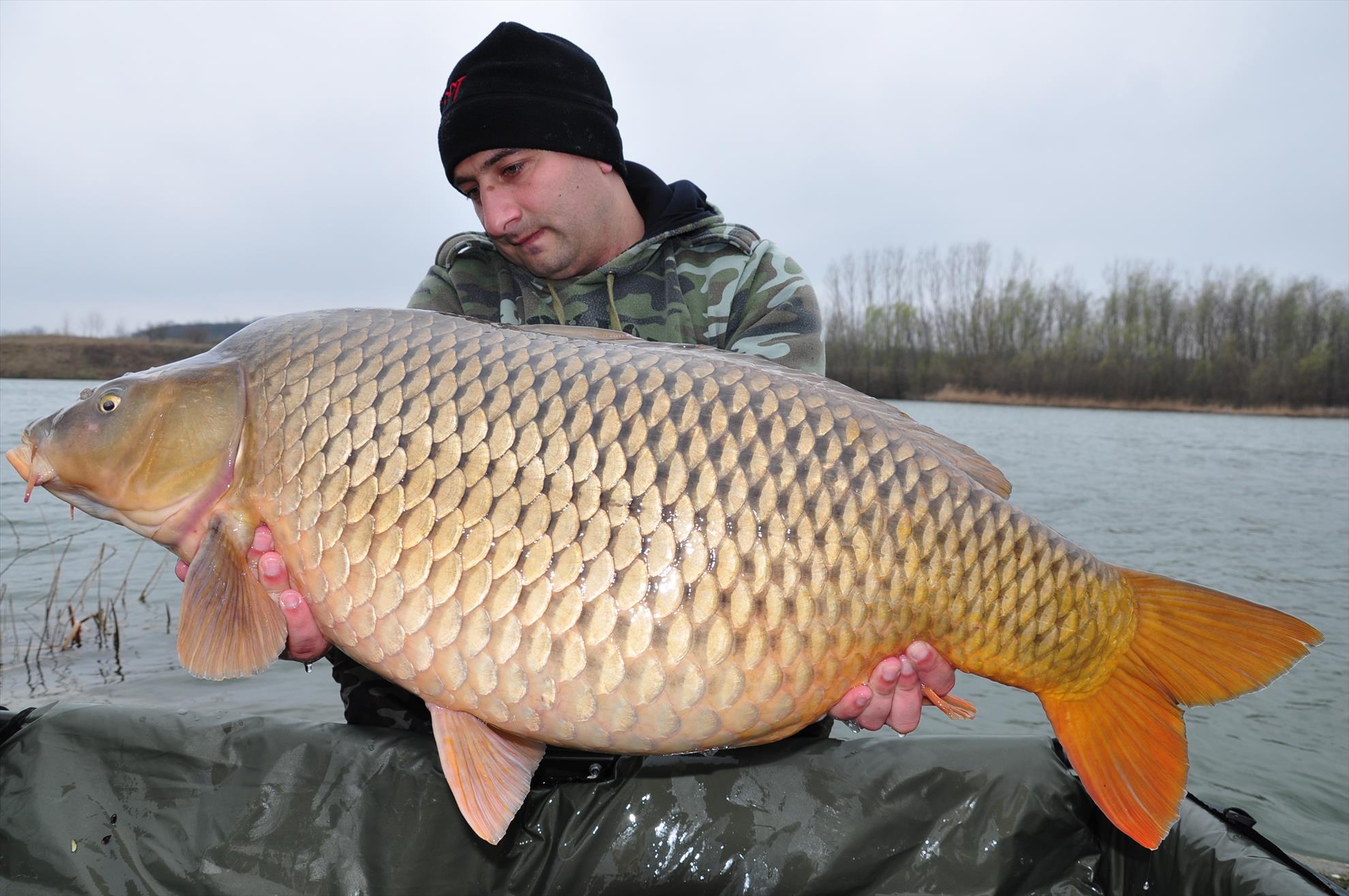 Catalin Alexandru Serban