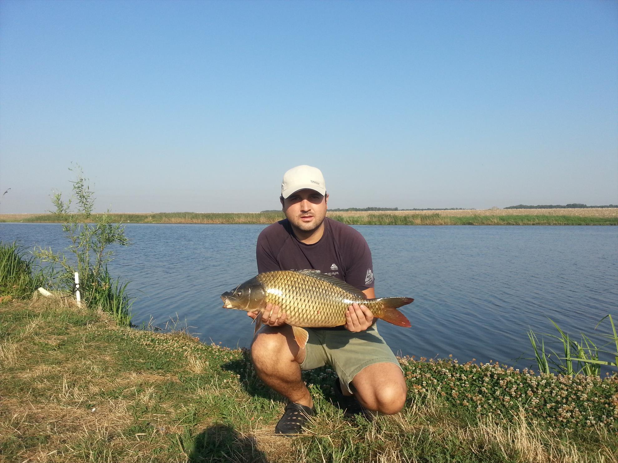 Alin George Paraschiv