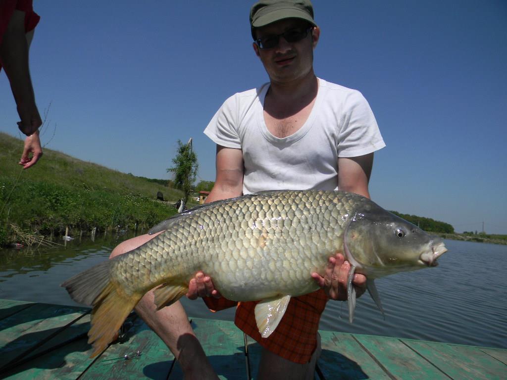 gabriel georgel arambescu