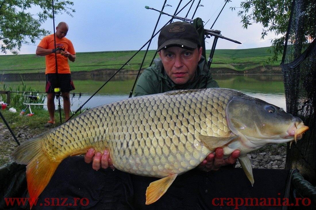 Cristian Aciubotaritei