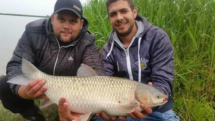 Dumitrel Fuica Prinde-Peste.Ro