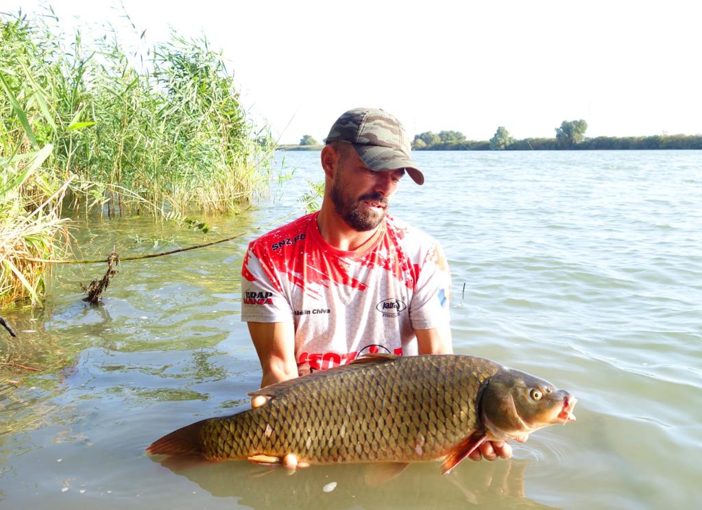 Captură crap prins în Delta Dunării