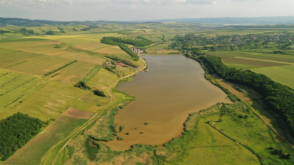 Balta Horgești