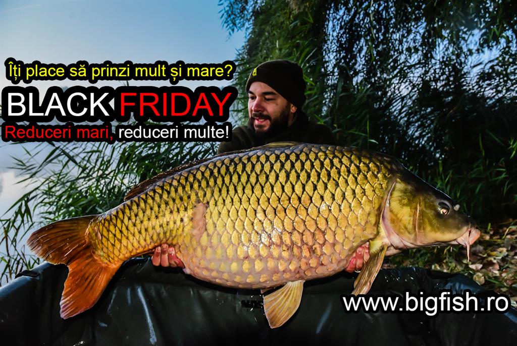 black friday big fish