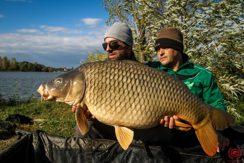 petre iulian 4carp