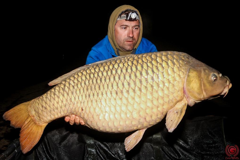 razvan gheorghe carpbait