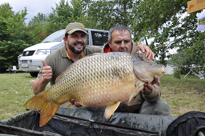 team david romania