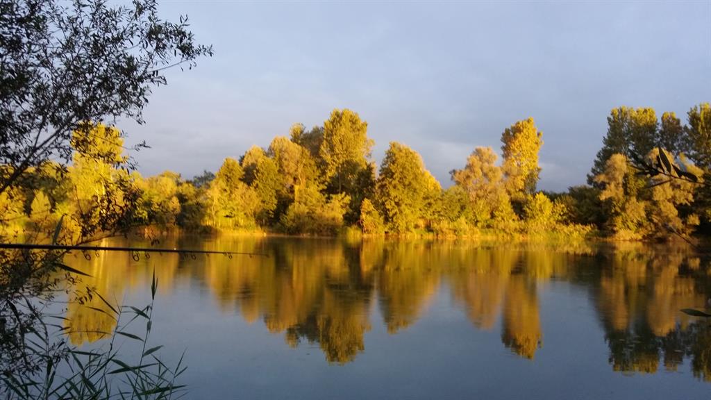 lago boschetto