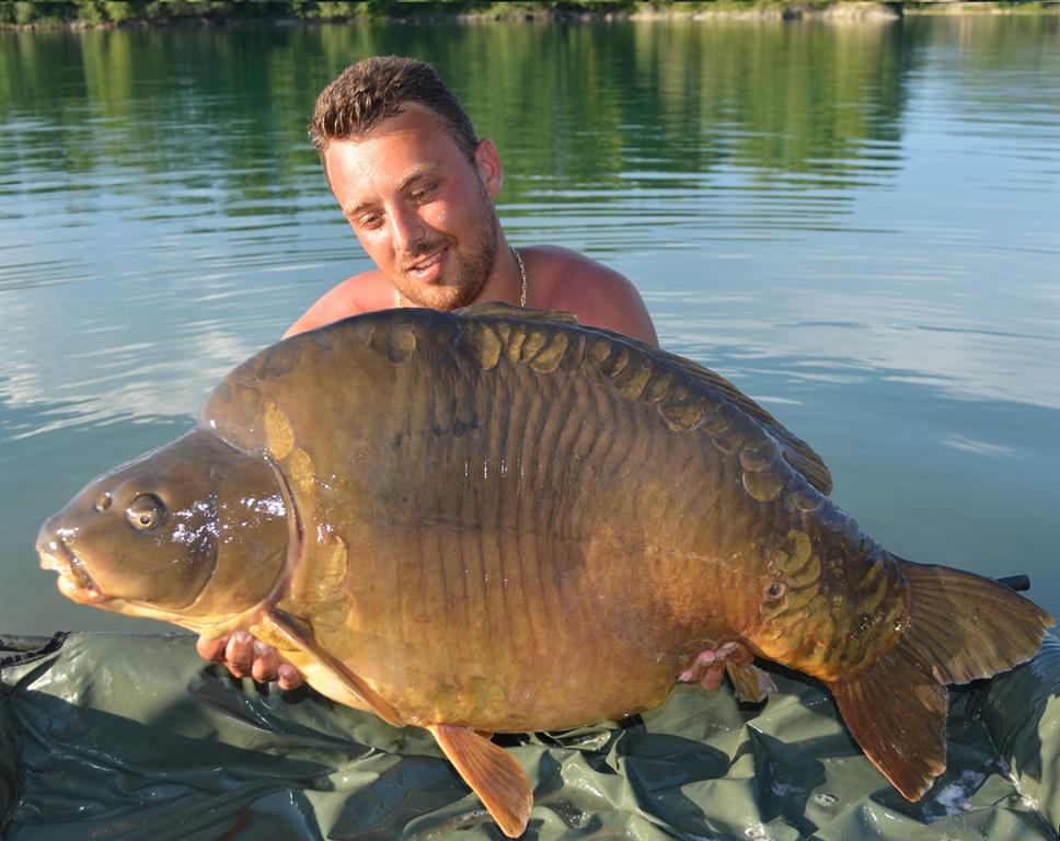 boilies senzor