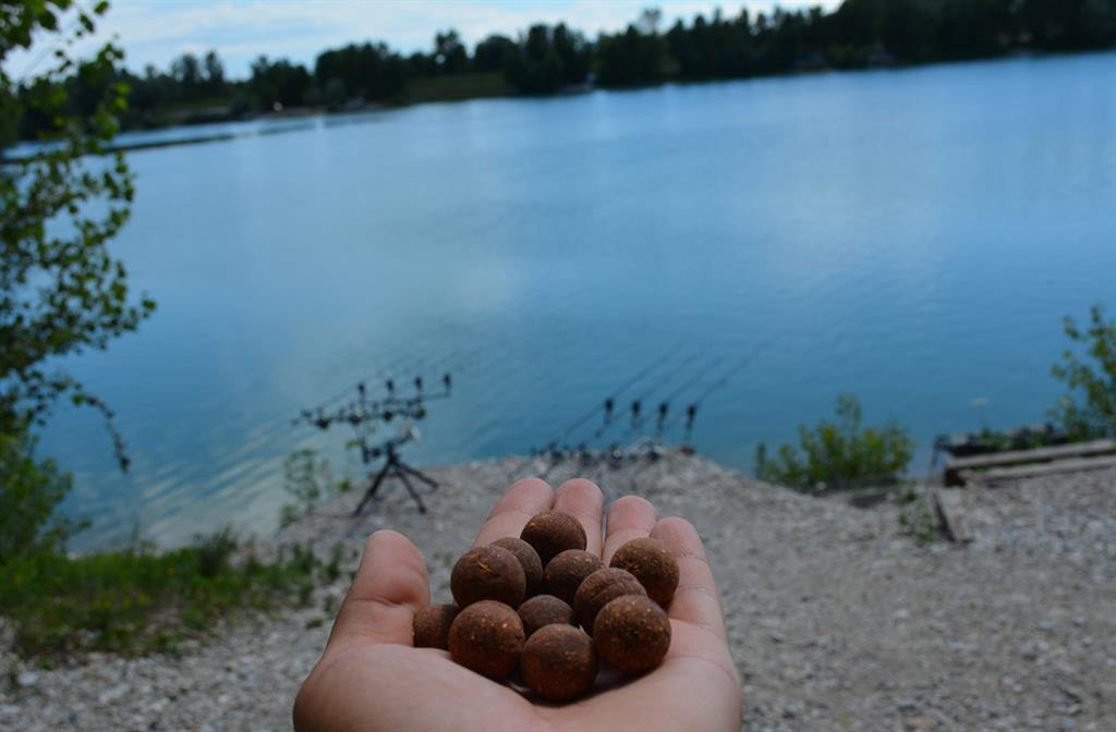 boilies senzor