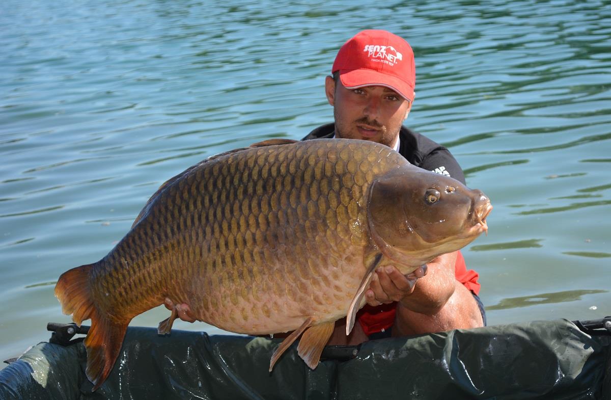 boilies senzor