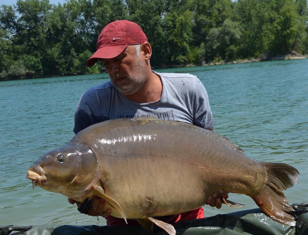 crapi croatia