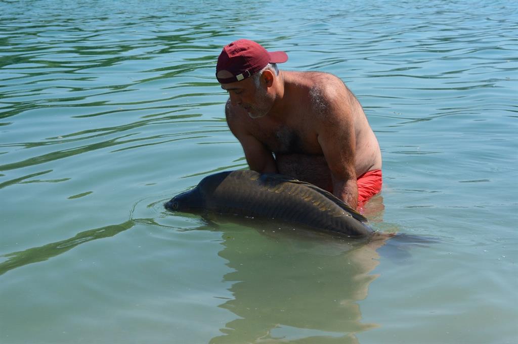 catch & release romania
