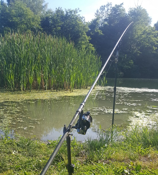 pescuit la crap