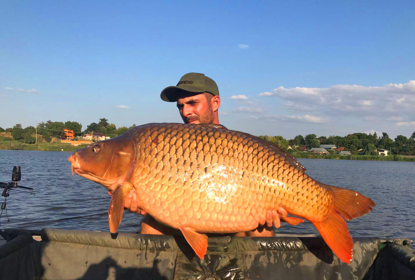 george alexandru boilies 4carp