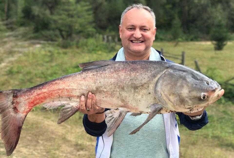 igor dodon la pescuit