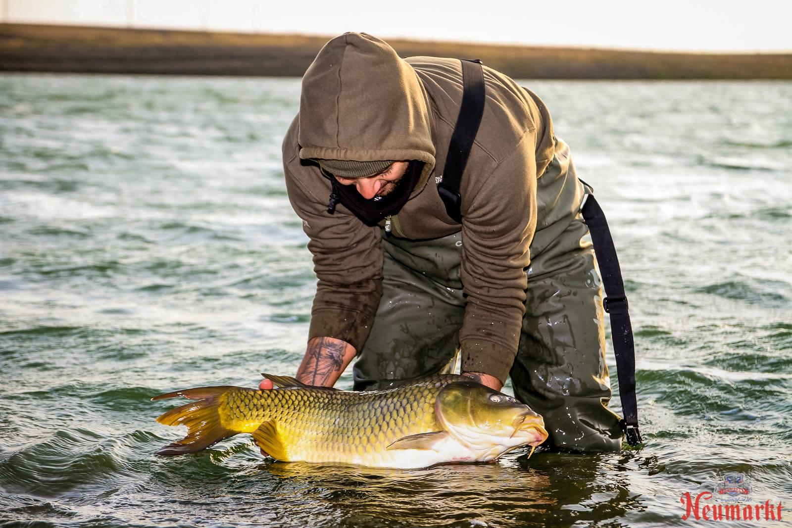 pescuit in regim catch & release in delta