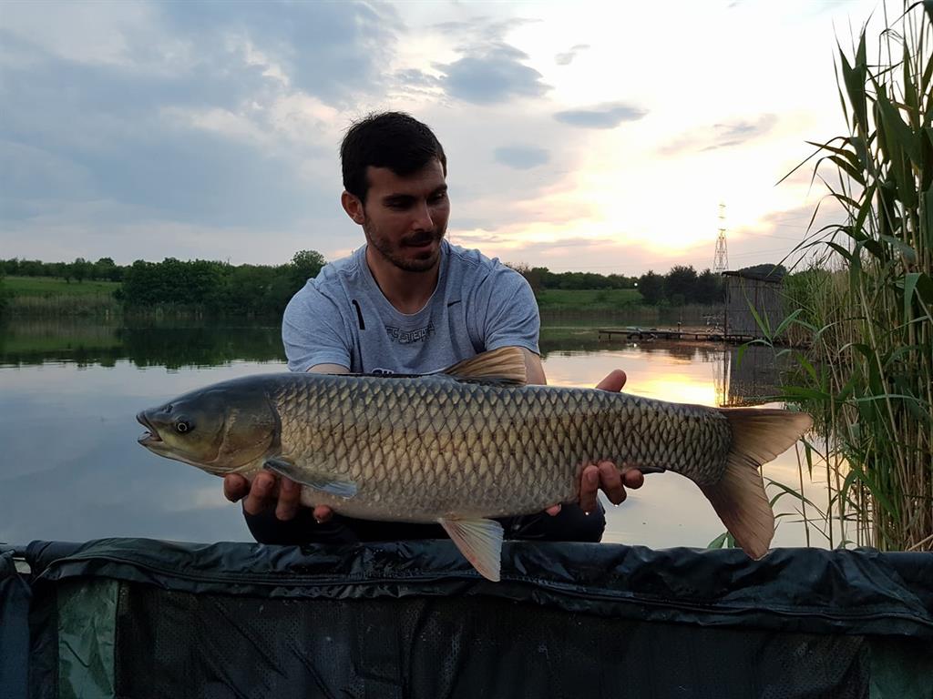florin nita pescuit