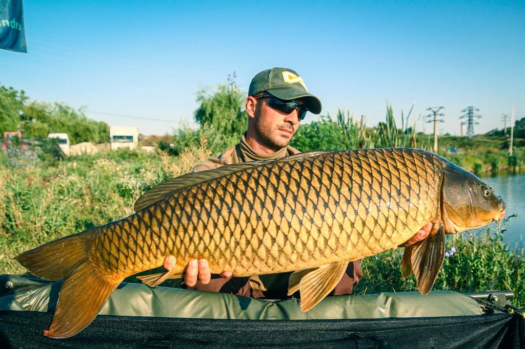 george alexandru 4carp