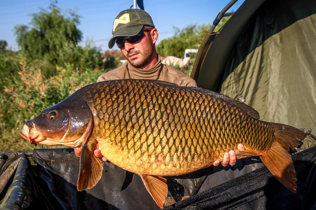 george alexandru 4carp