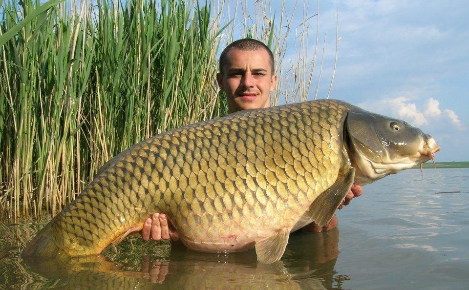 Bogdan Dragan pescar