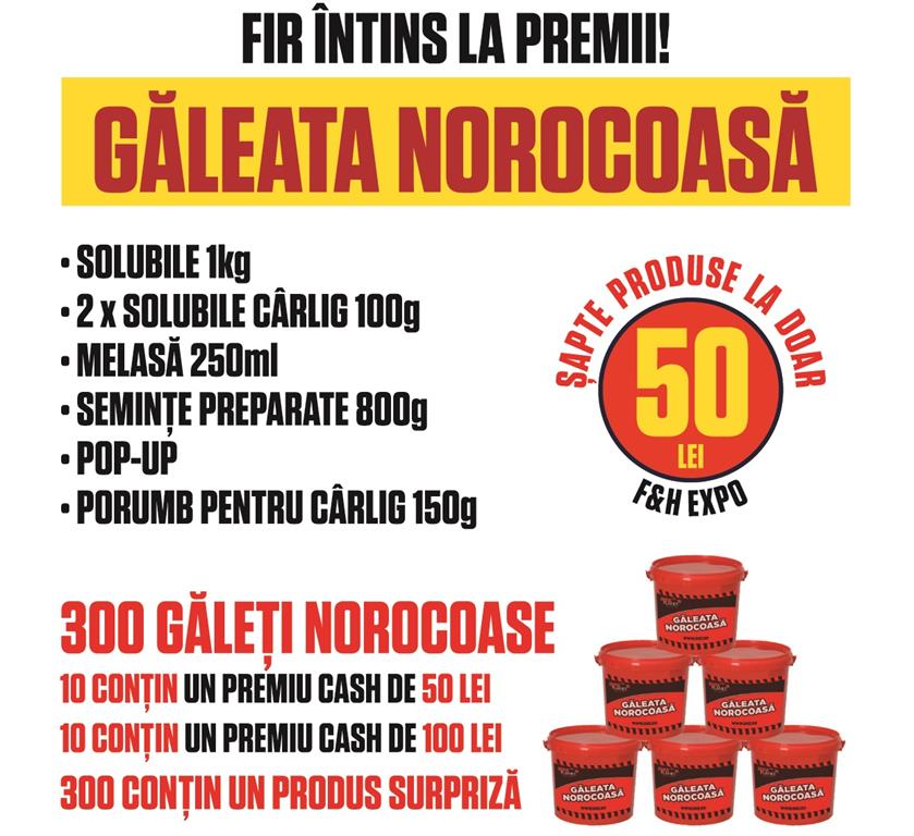 galeata norocoasa senzor