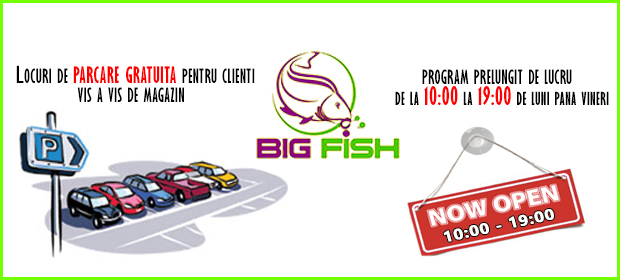 parcare gratuita bigfish