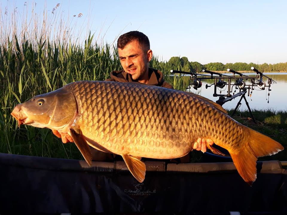 4carp tancabesti