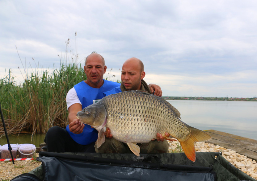 lazapulu bogdan claudiu popa