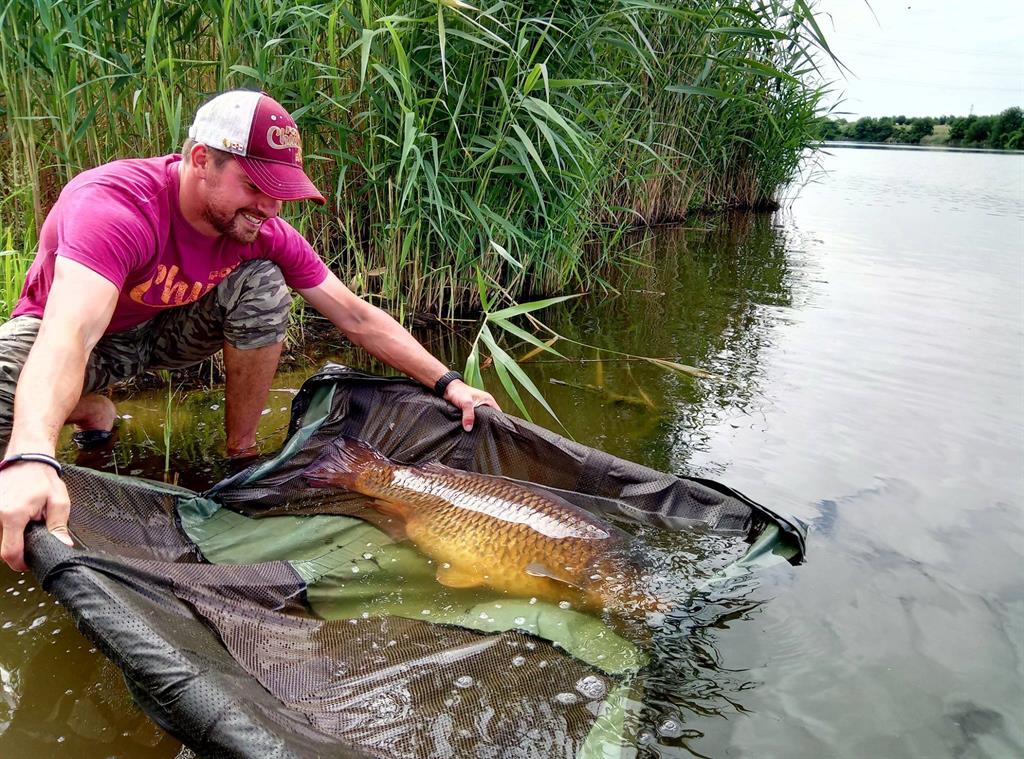 catch & release claudiu costache