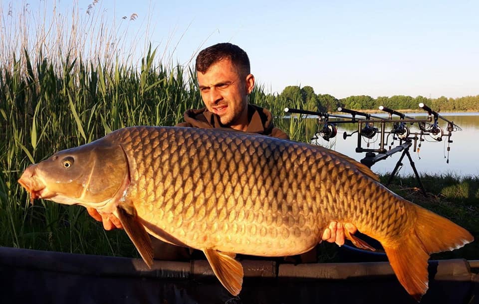 george alexandru 4carp