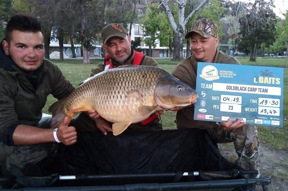 goldblack carp team hungary