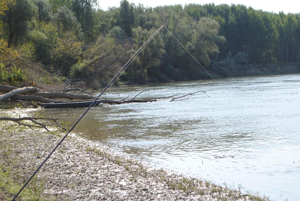 ponturi-pescuit-pe-ape-salbatice
