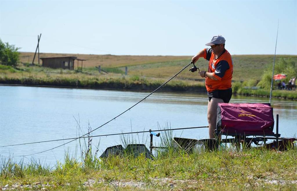 pescuit la feeder