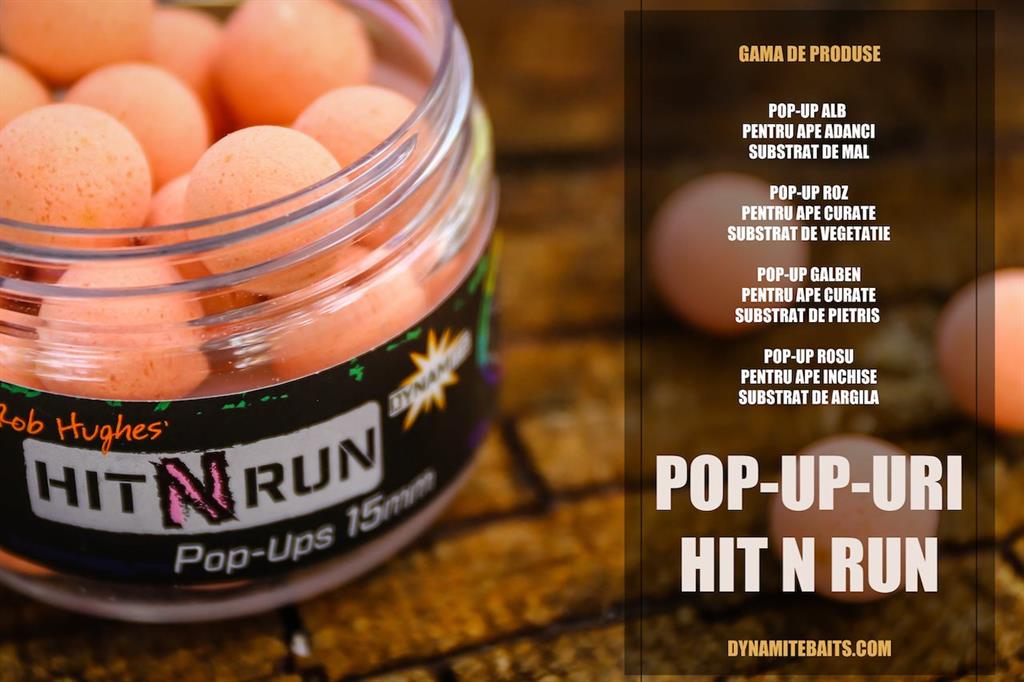 pop-up hit and run dynamite baits