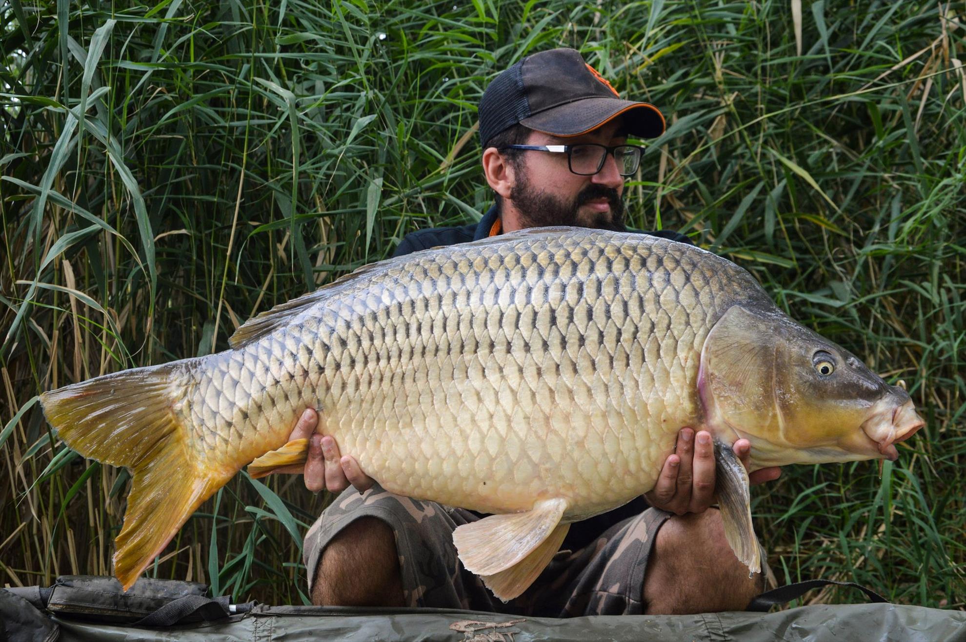 Sergiu Delcea cu un crap prins la montura Chod Rig cu single pop up