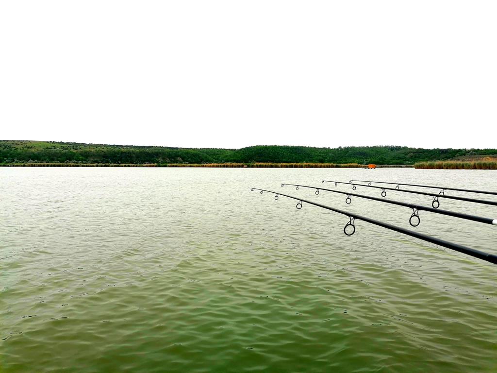 4 lansete pe balta Vlahi