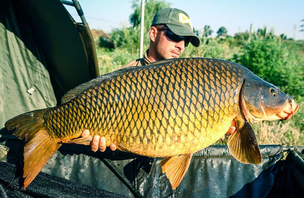 promotie 4carp george alexandru